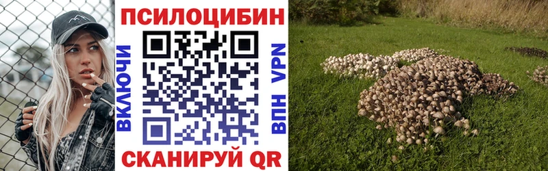 Псилоцибиновые грибы мухоморы Нязепетровск