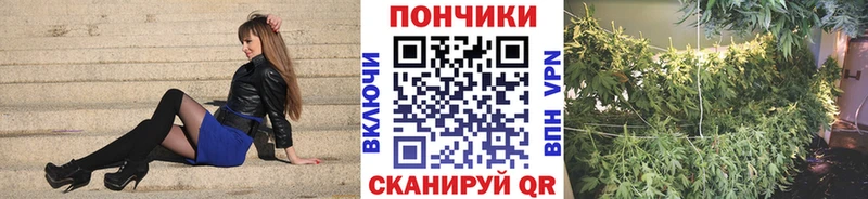 наркотики  Нязепетровск  KRAKEN ONION  Конопля Amnesia 